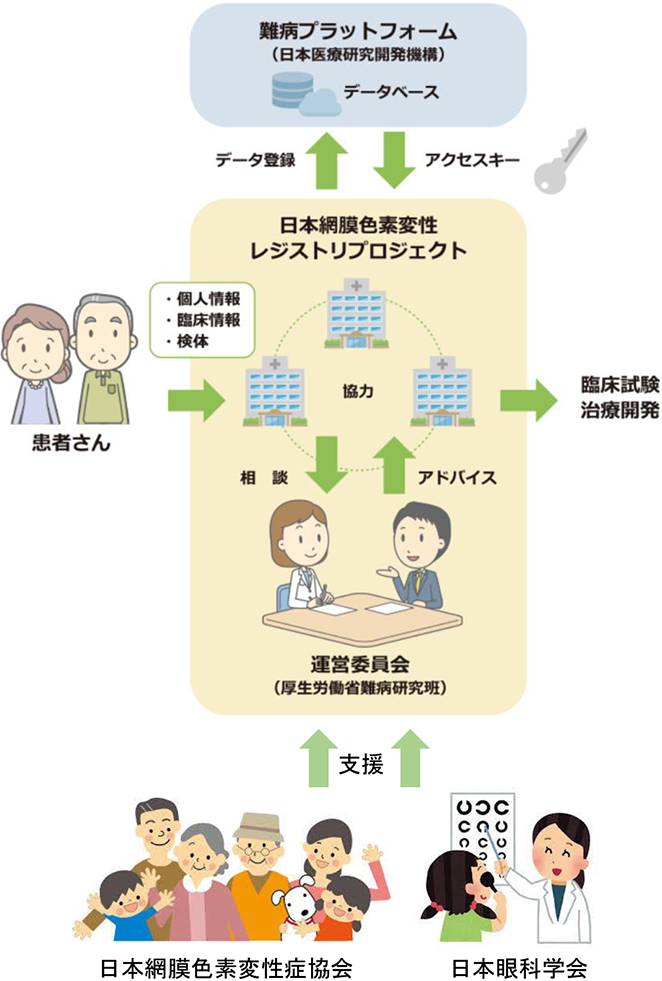 日本網膜色素変性レジストリプロジェクトの説明図